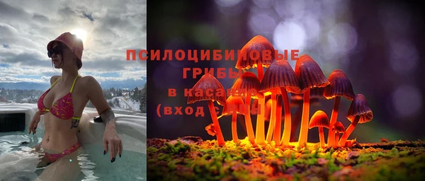 PSILOCYBIN Семикаракорск